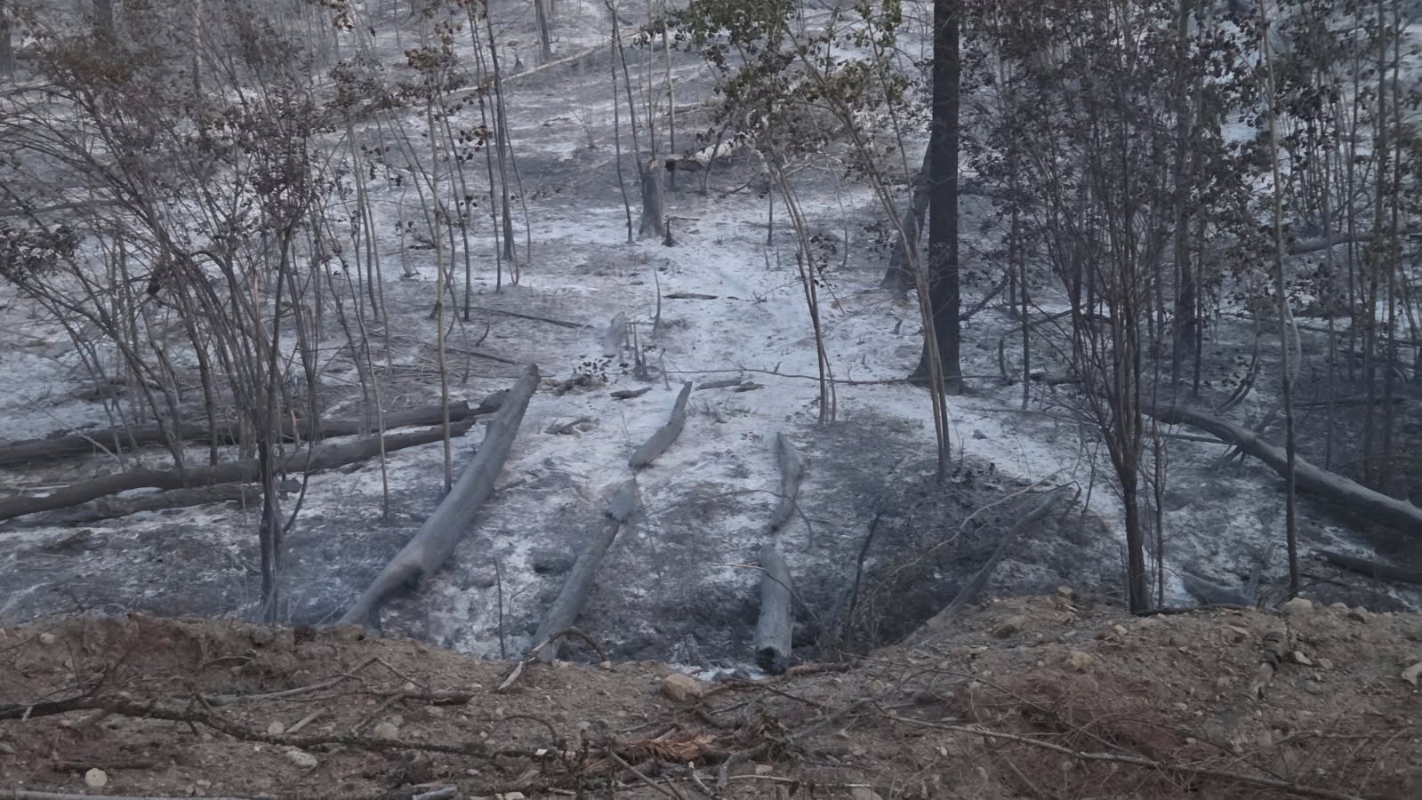 Field update attachment